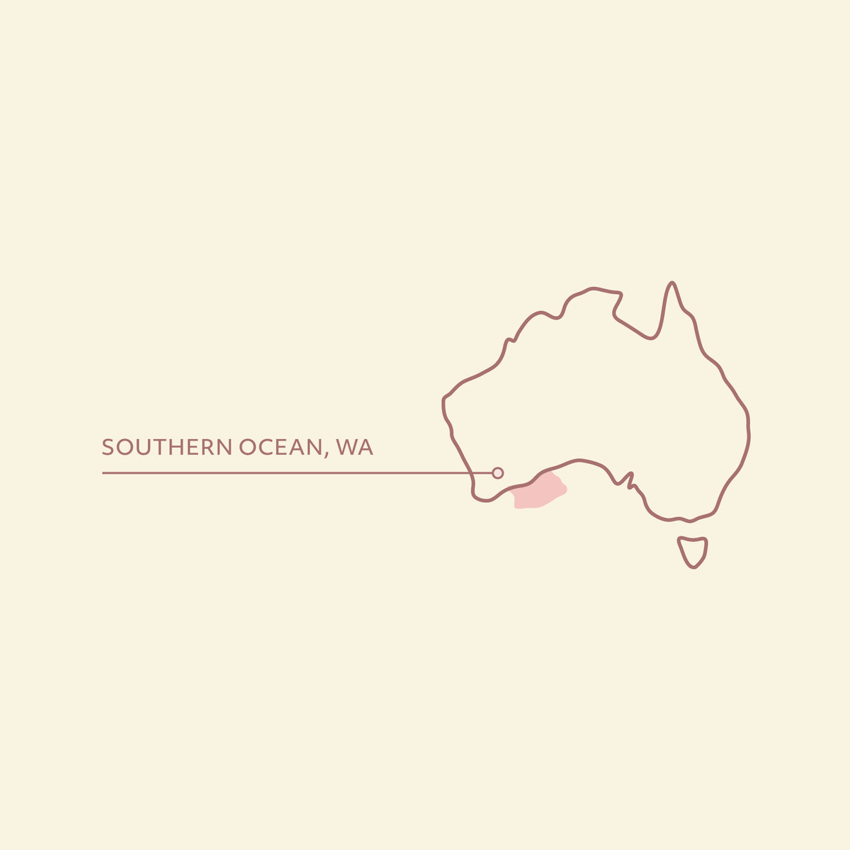 Southern Ocean Salmon for cats