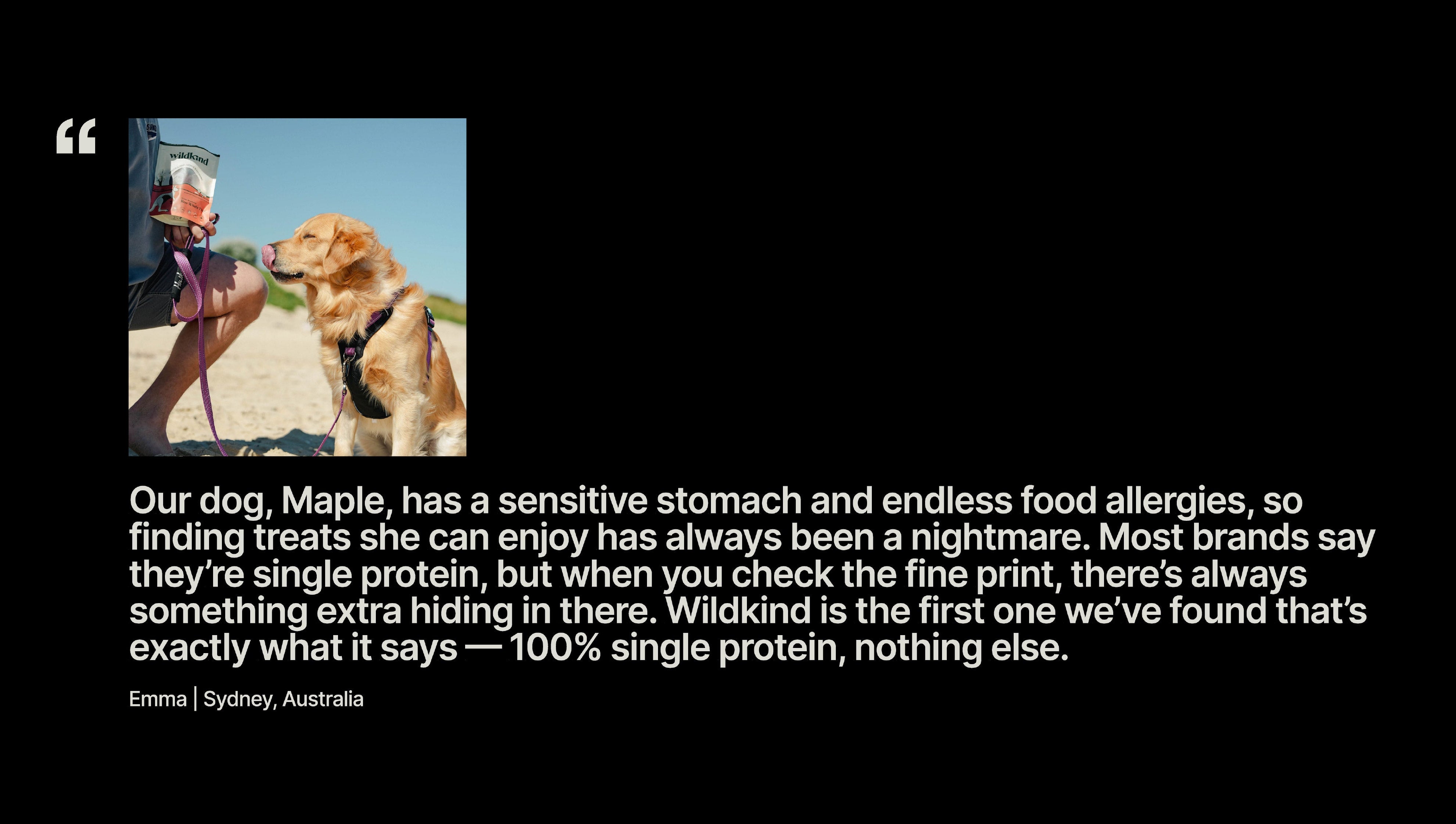 Dog with a backpack and text about a sensitive stomach and food allergies