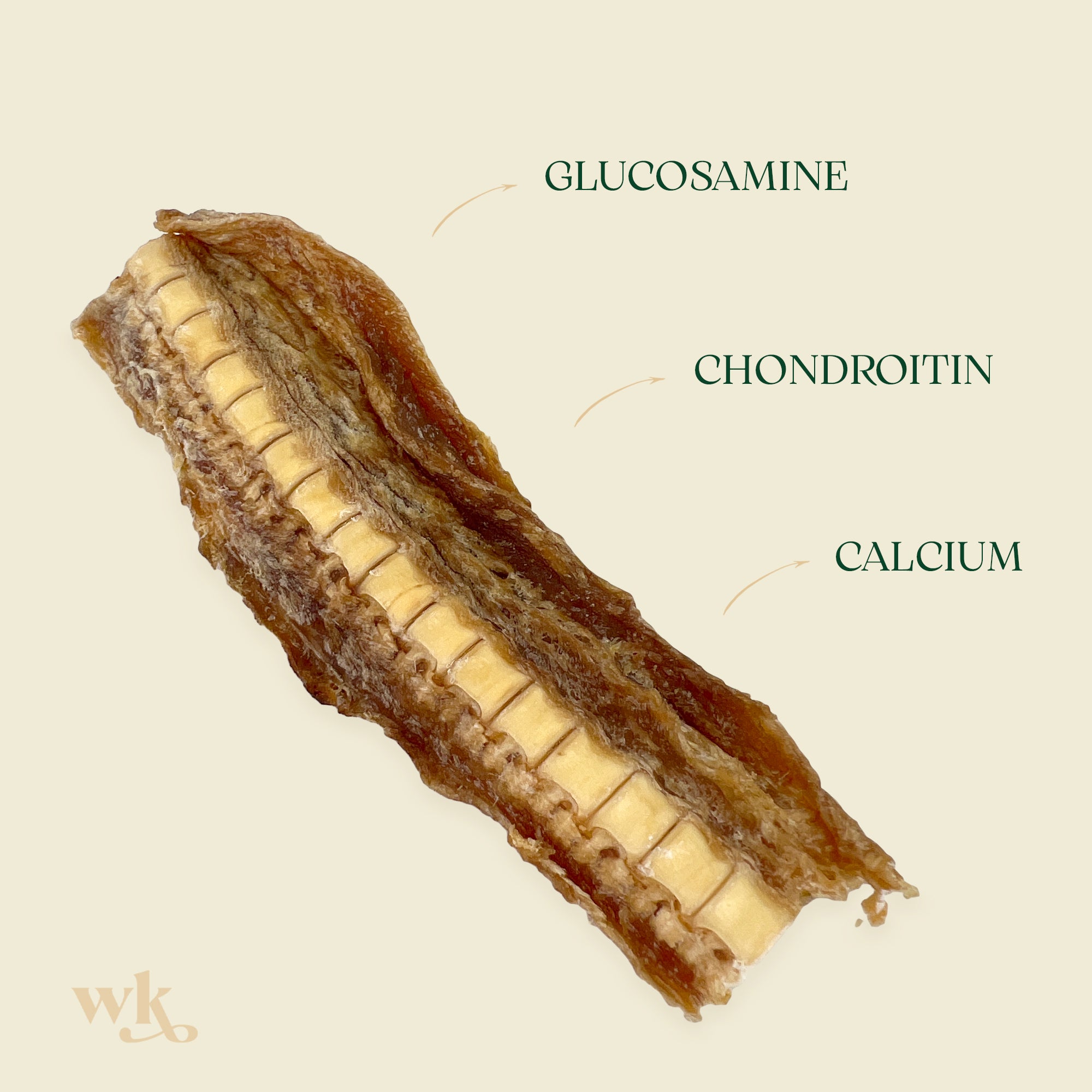 Southern Ocean Shark Cartilage